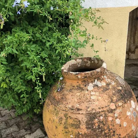 Belavista & Pool 4* Fátima