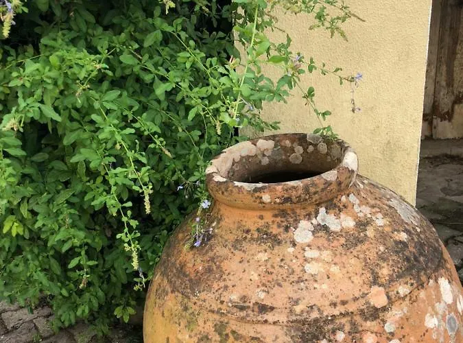 Belavista & Pool 4* ファティマ