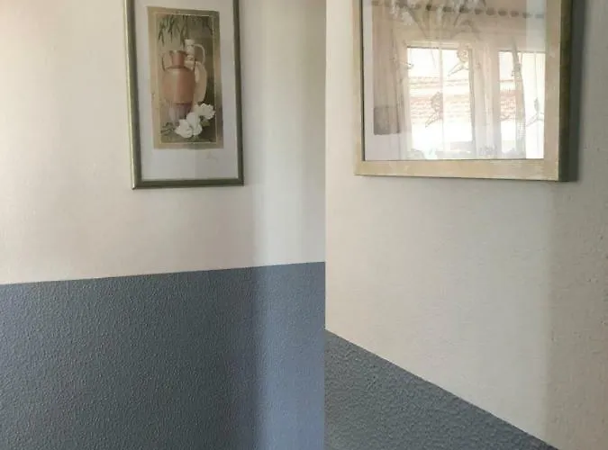 Belavista & Pool פאטימה