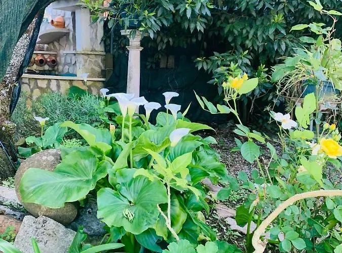 Belavista & Pool ファティマ